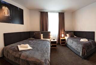 Отель HOTEL LUBLIN Люблин Двухместный номер Делюкс с 1 кроватью (для 2 взрослых и 1 ребенка)-1